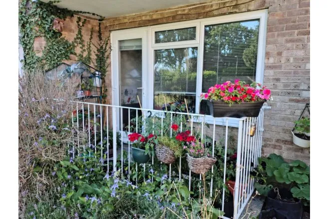 Osborne Road, New Milton, BH25, photo 7