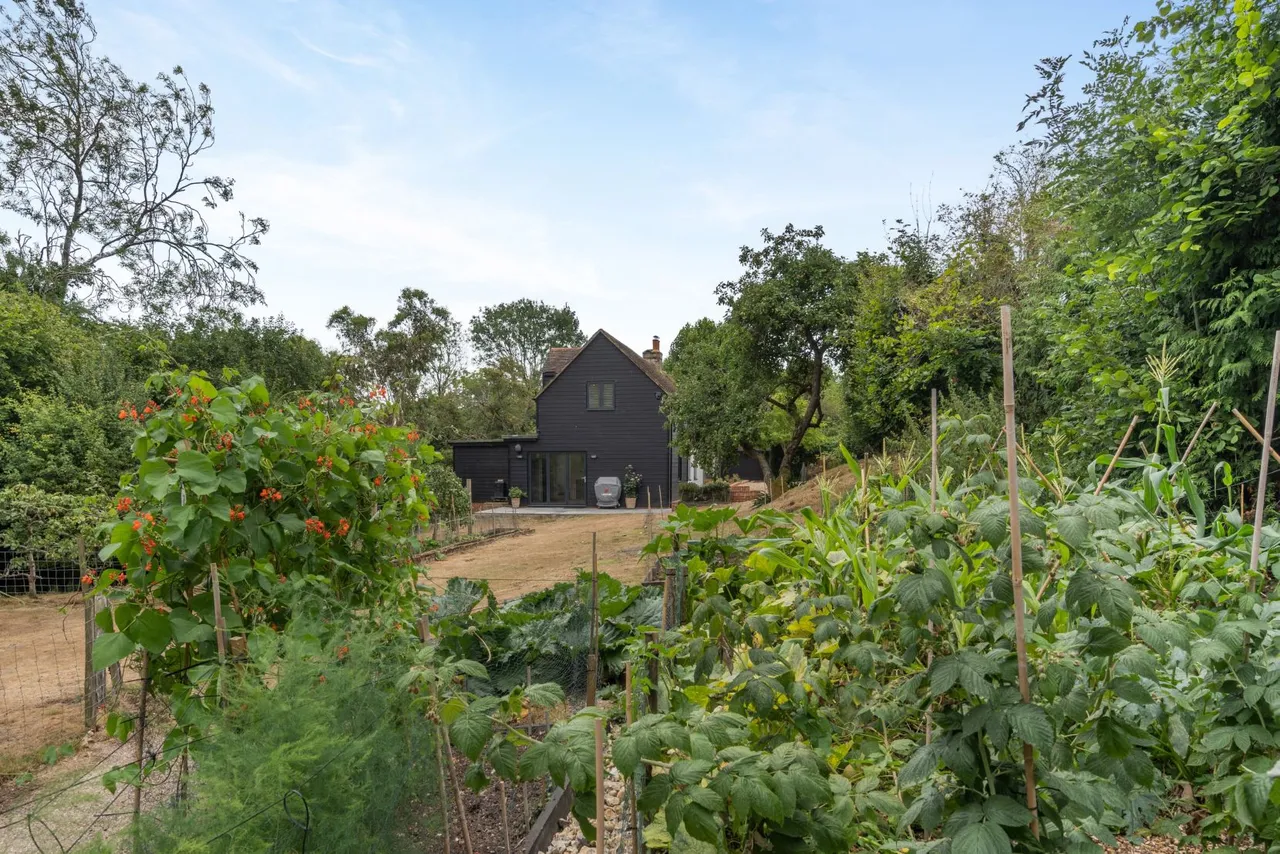 Shelvin Lane, Wootton, Canterbury, Kent, CT4 6RH, photo 4