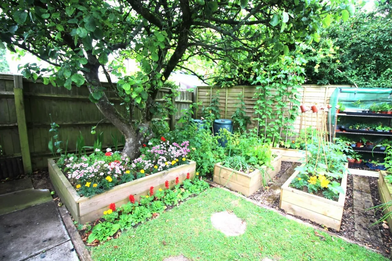 Lavender Close, Thornbury, BS35, photo 28