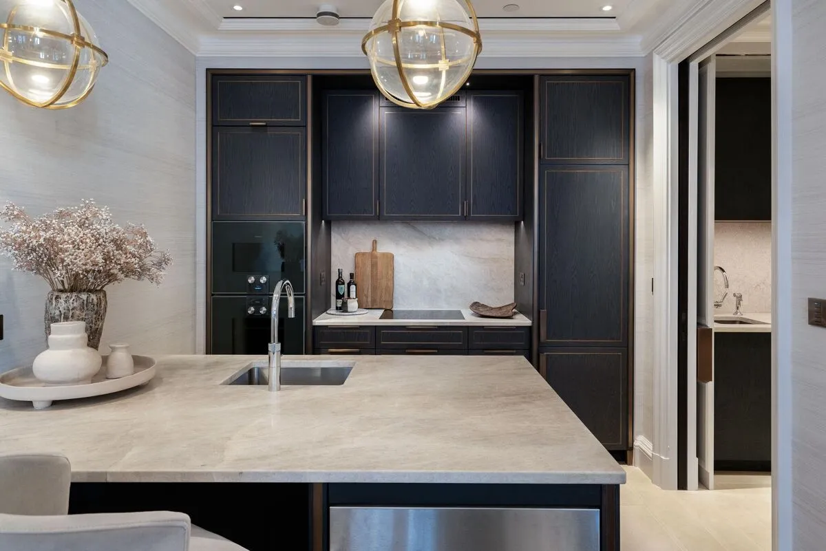 The OWO Residences by Raffles, Whitehall, SW1A, photo 16