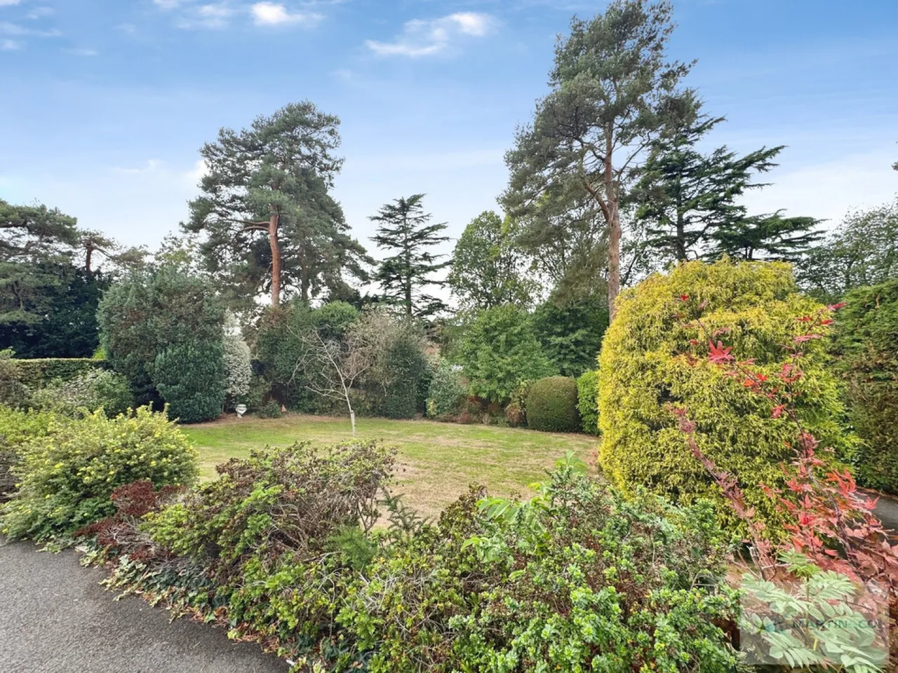 Ringwood, BH24, photo 6