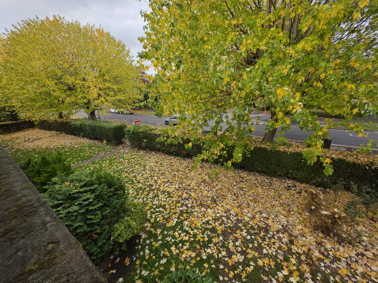 Haldens, Welwyn Garden City, AL7, photo 9