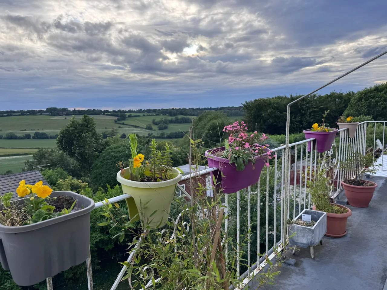 Main Road, Biggin Hill, TN16, photo 23