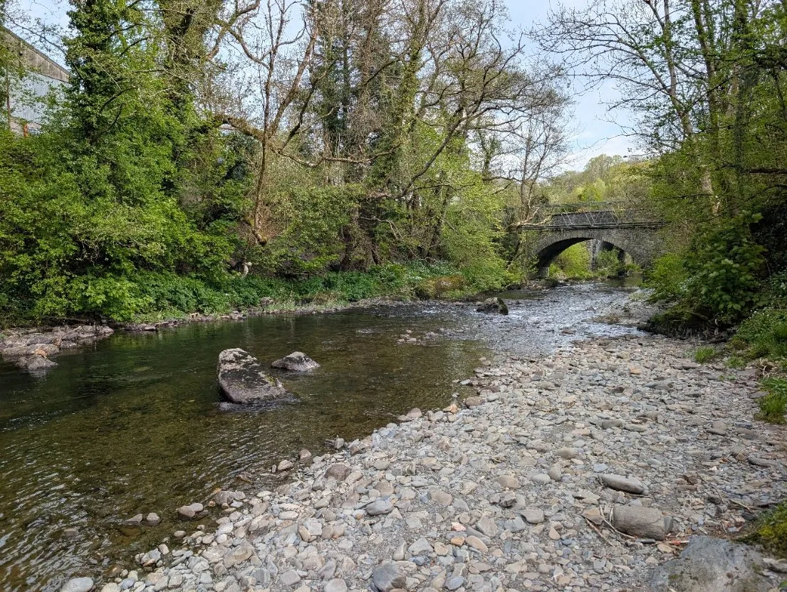 Commins Coch, Machynlleth, photo 26