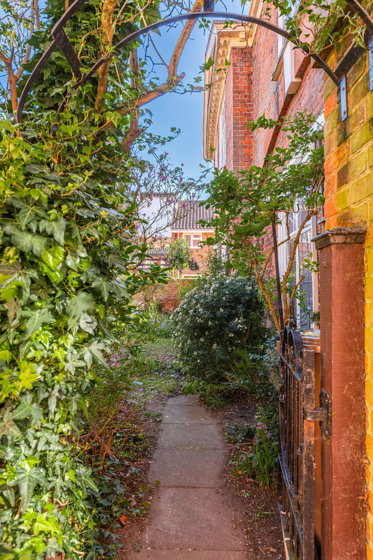 Hidden Gem in Norwich City Centre wit, photo 8