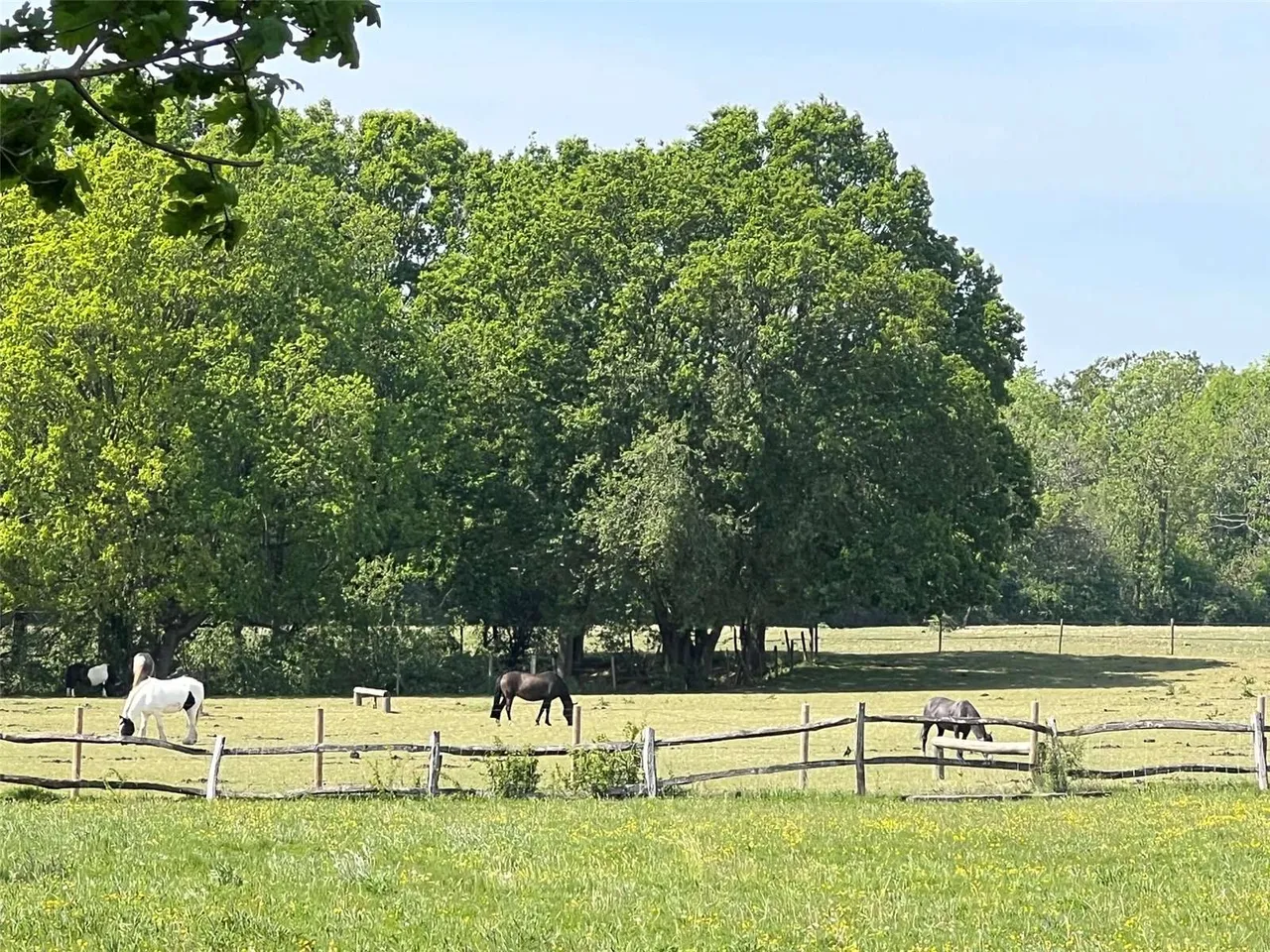Riding Lane, Hildenborough, Tonbridge, Kent, TN11 9LL, photo 5