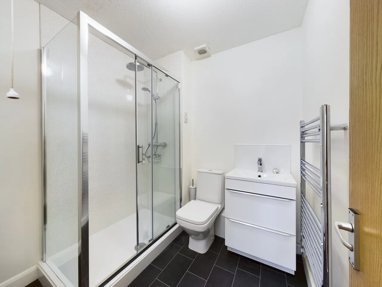 White Friars Lane, St Judes, PL4, photo 4