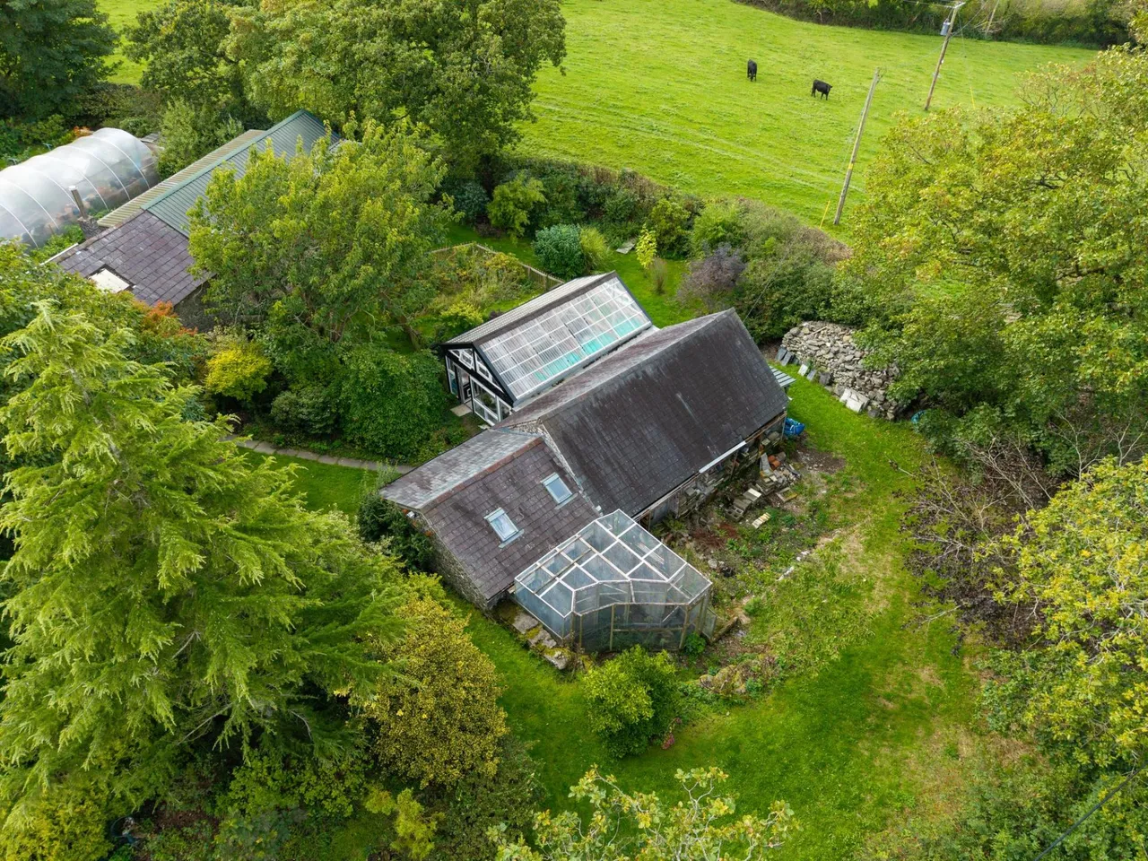 Pengelly, Llangwyryfon, SY23, photo 96