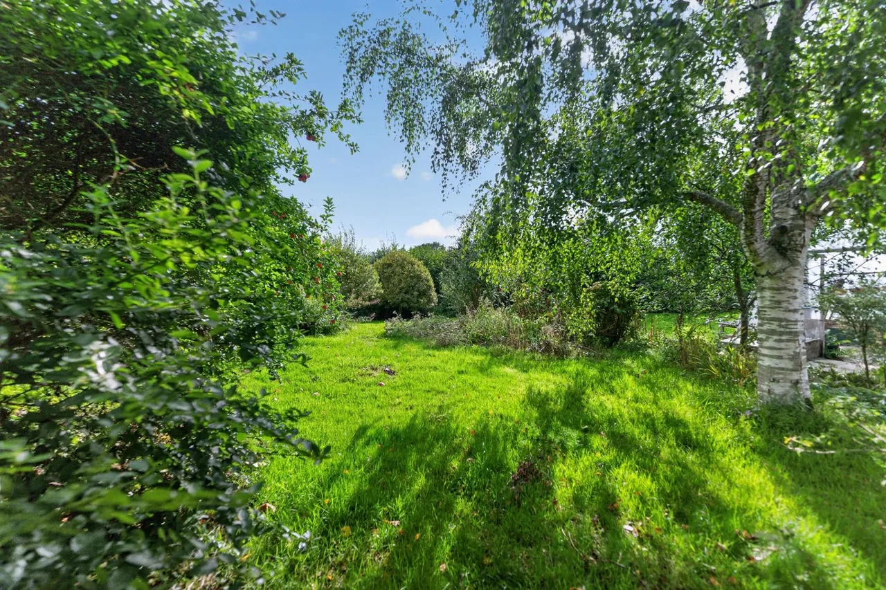 Pengelly, Llangwyryfon, SY23, photo 74