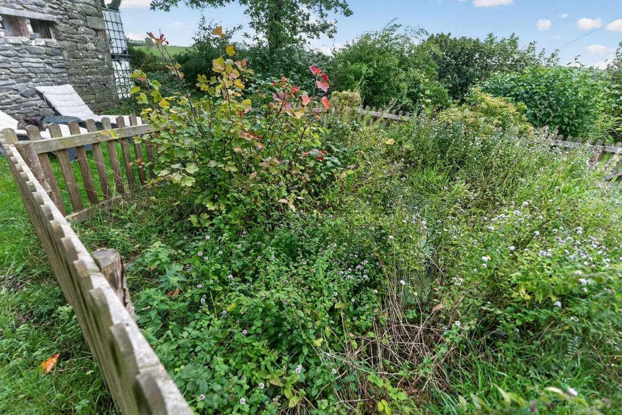 Pengelly, Llangwyryfon, SY23, photo 66