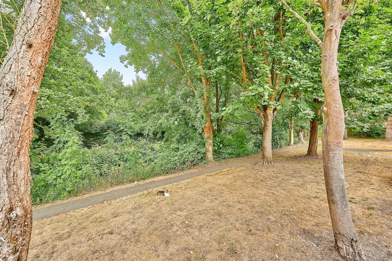 Lion Meadow Haverhill, CB9, photo 12