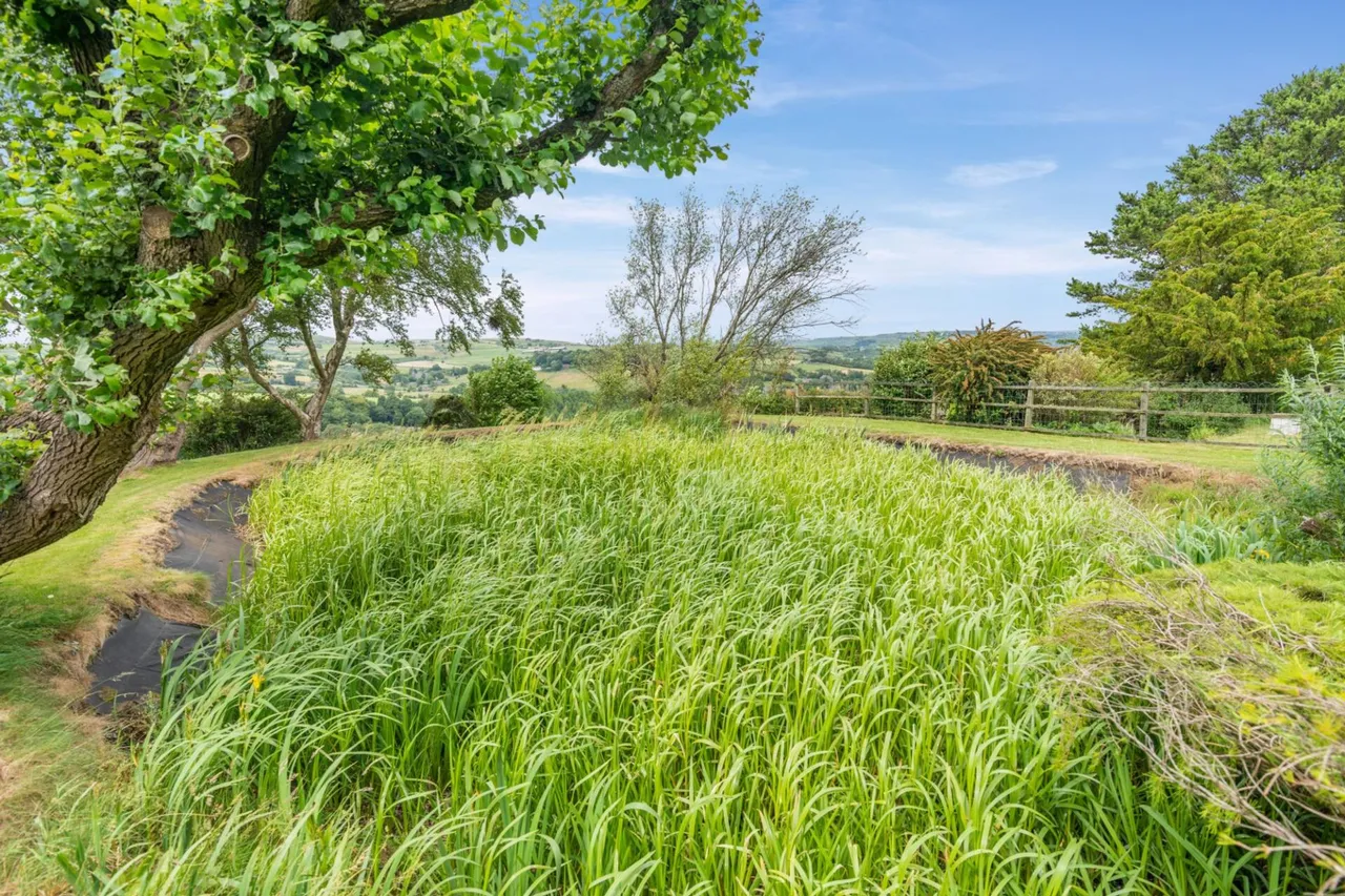 Lane Head, Ripponden, HX6, photo 42