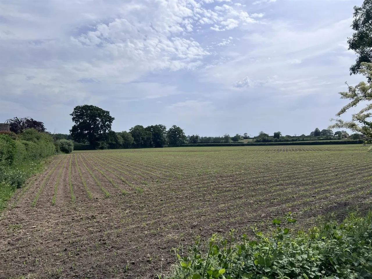 Common Mead Avenue, Gillingham, Dorset SP8 4NB, photo 13