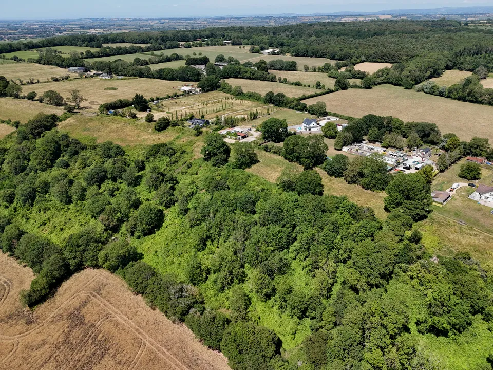 Wood Drove, Bowdens, photo 12