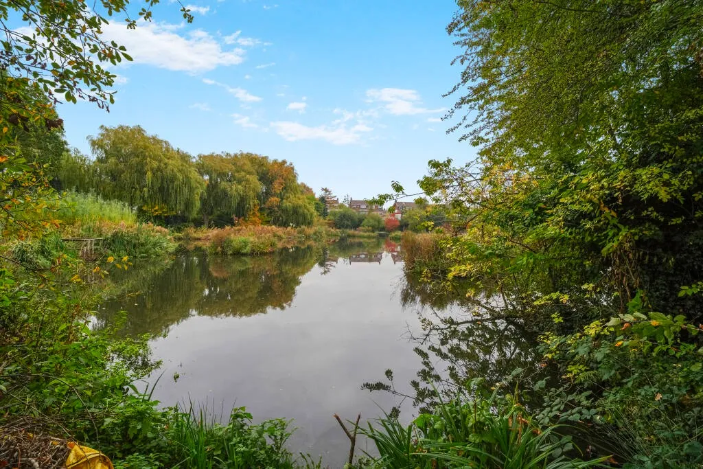 Hopefold Drive, Worsley, M28, photo 12