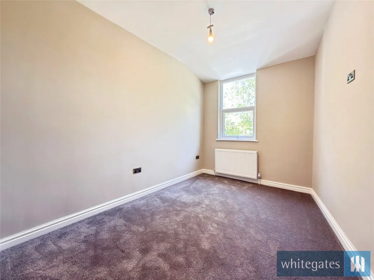 Ince Avenue, Anfield, L4, photo 20