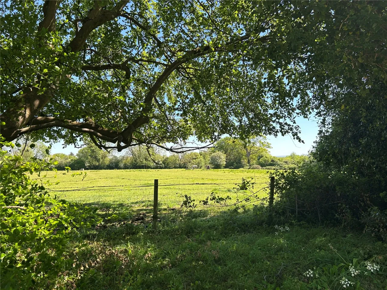 The Avenue, Mortimer Common, RG7, photo 13