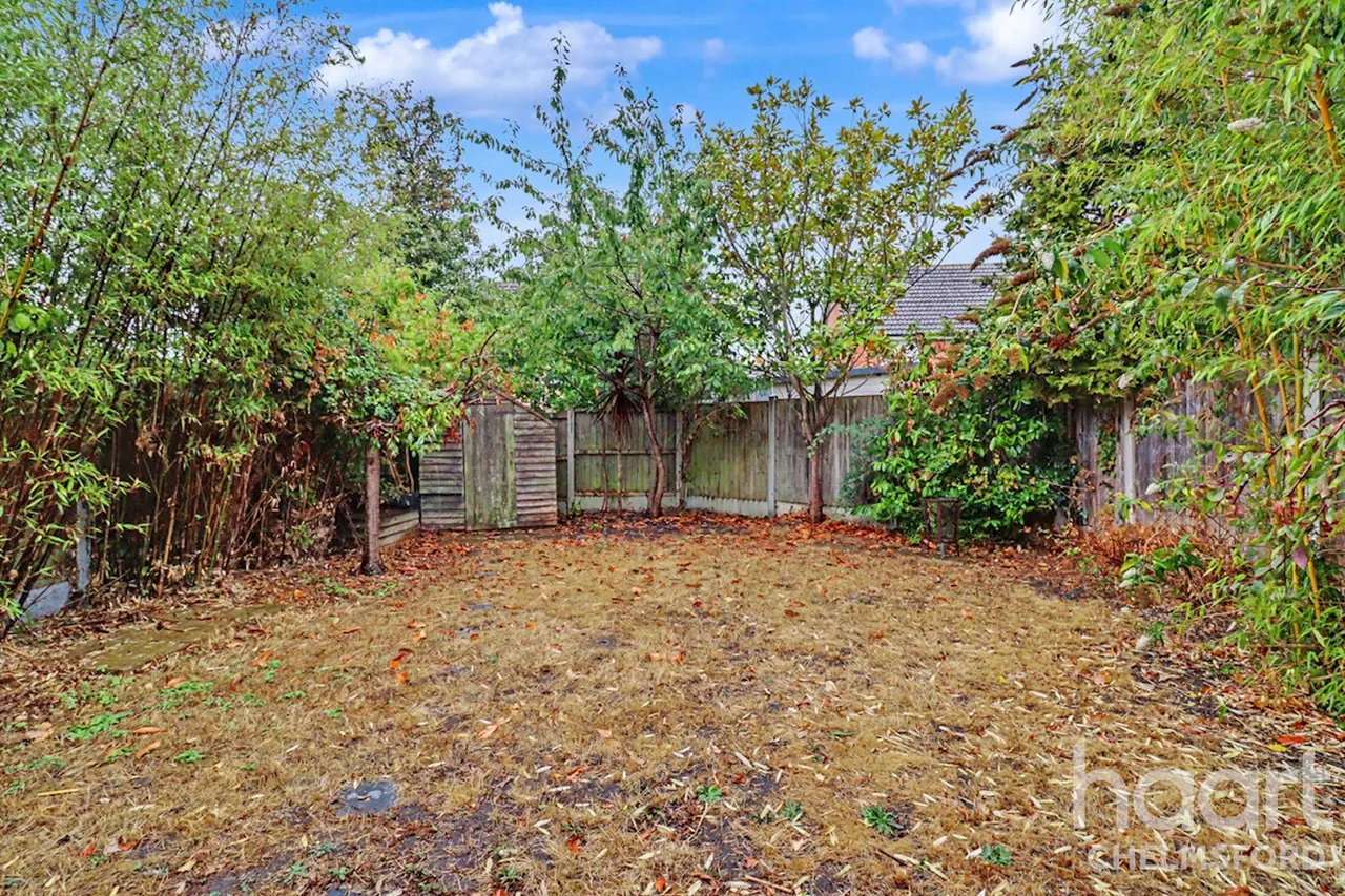 Buttercup Way, Southminster, CM0, photo 15
