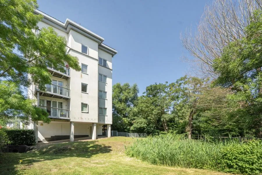 Ryemead Way, High Wycombe, HP11, photo 6