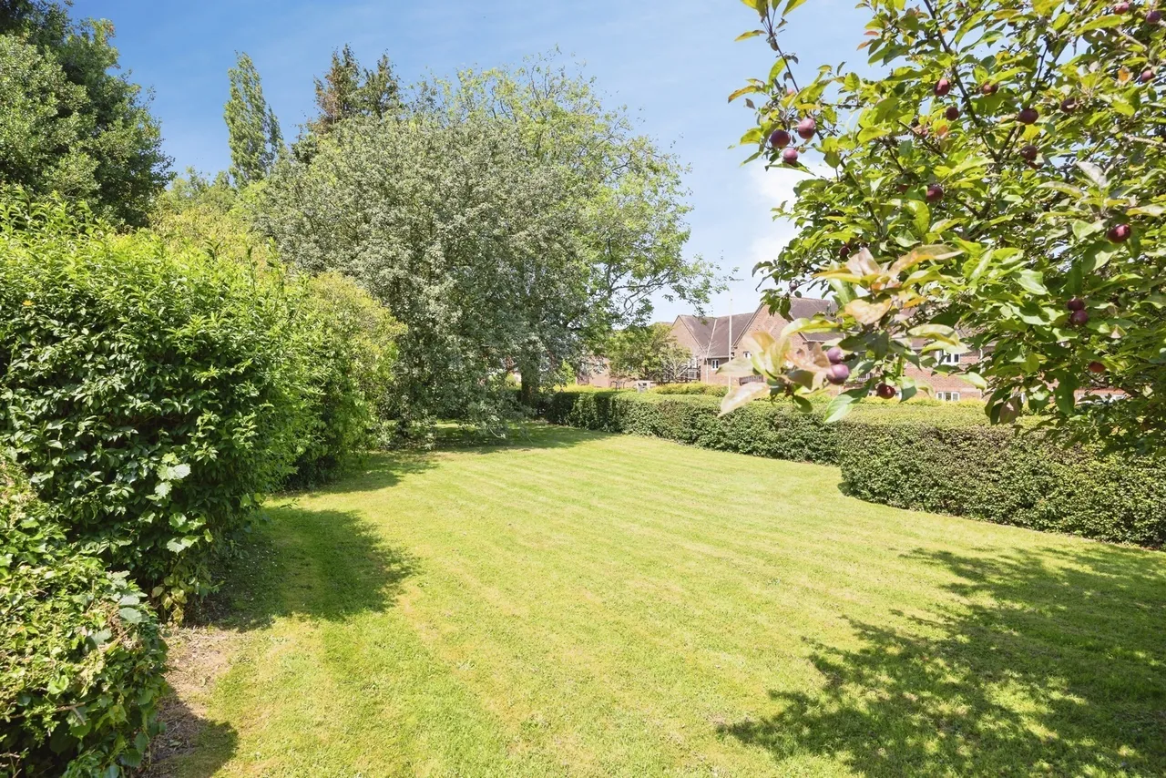 Adams Way, Alton, GU34, photo 13