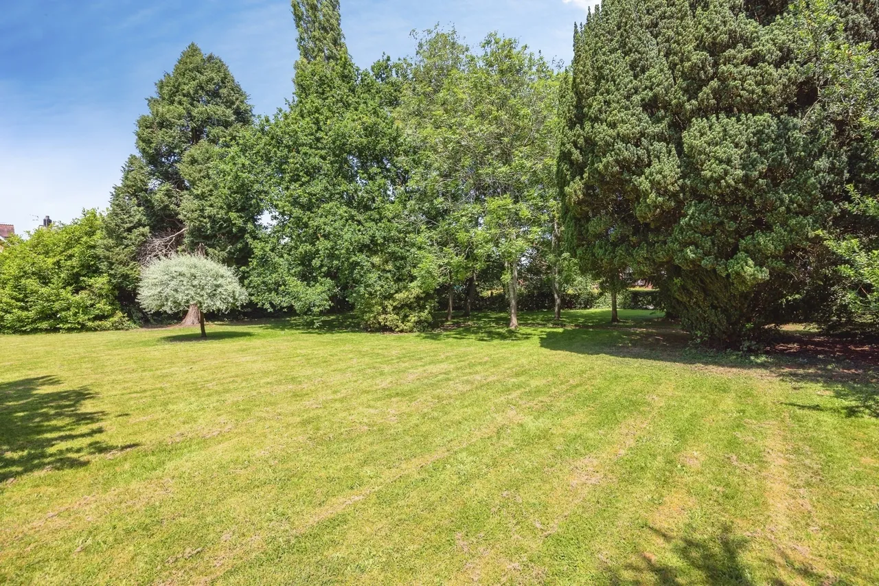 Adams Way, Alton, GU34, photo 14