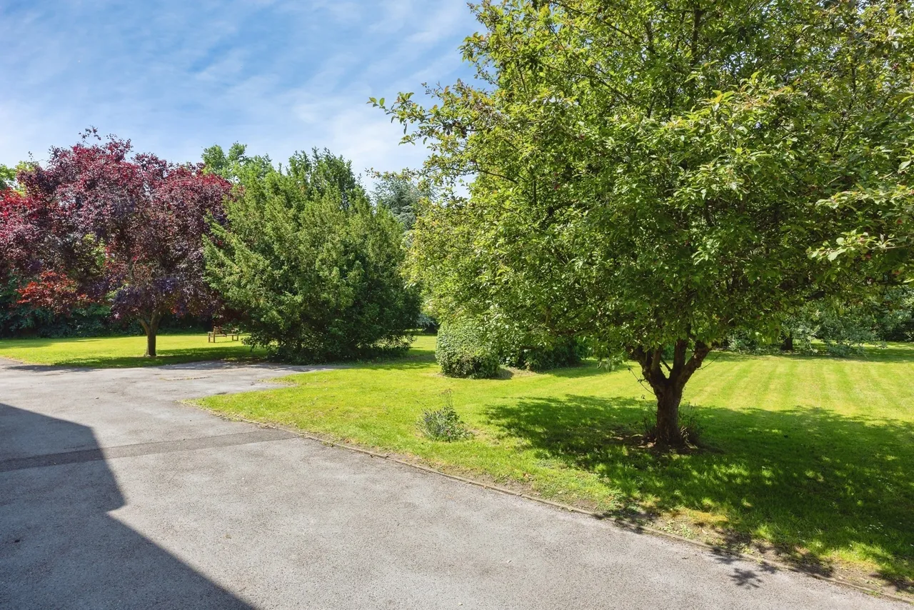 Adams Way, Alton, GU34, photo 20