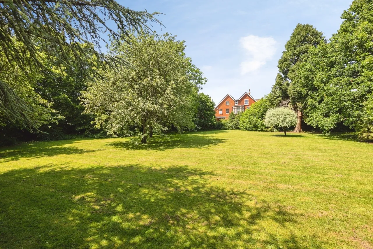 Adams Way, Alton, GU34, photo 10