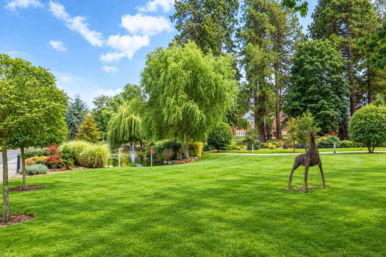 Butterwick Way, Welwyn, AL6, photo 23