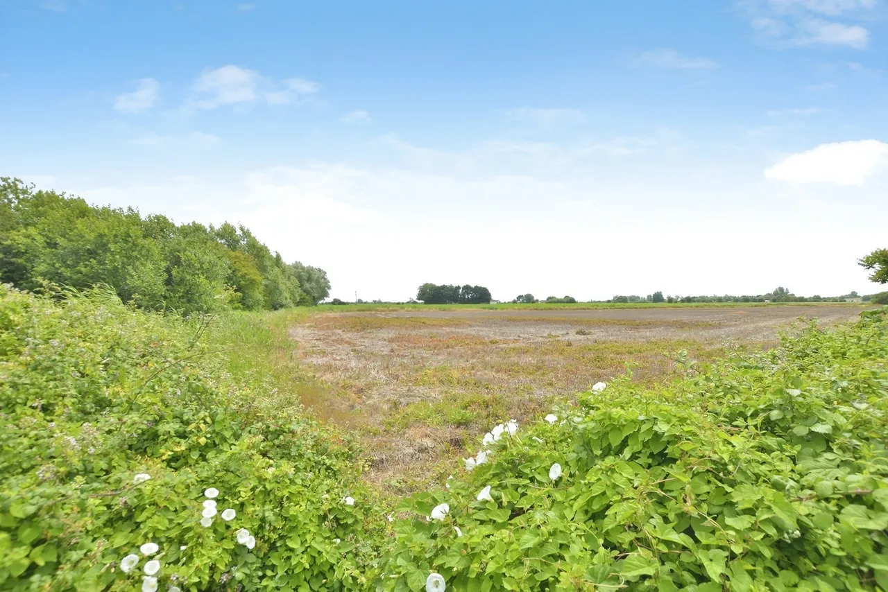 King Street, Brenzett, Romney Marsh, Kent, TN29, photo 7