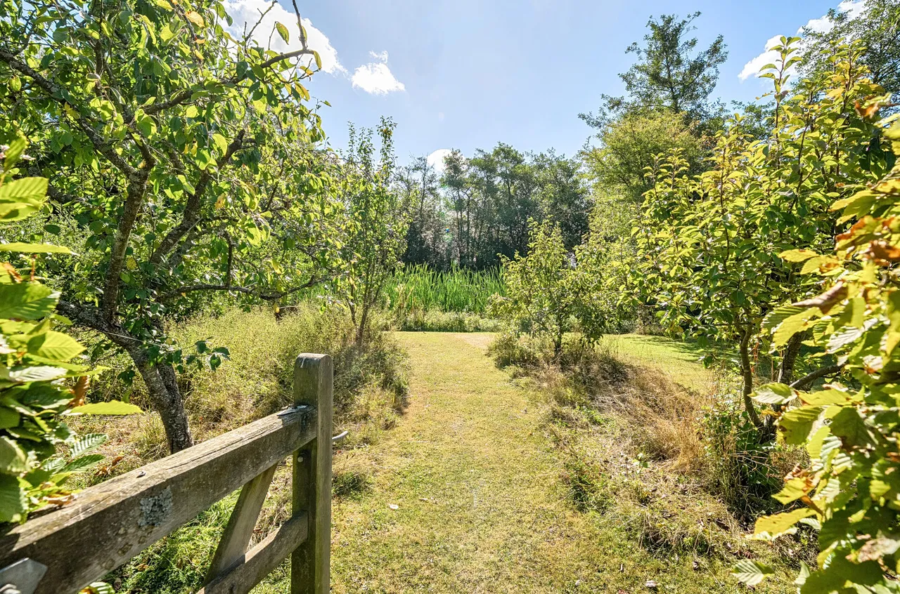 Sand Lane, Cranbrook, TN17, photo 8