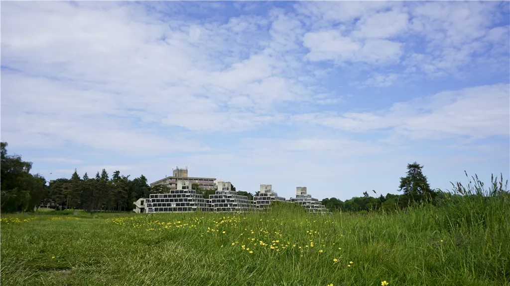 The Colney, St Giles Park, NR4, photo 14