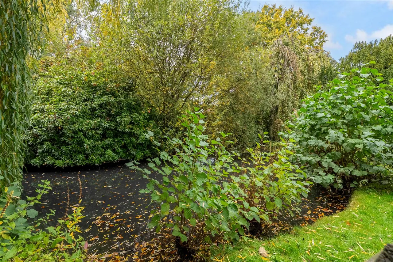 Oakwood Close, Chislehurst, photo 29