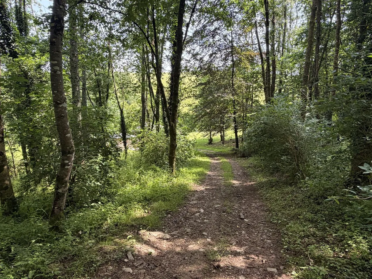 Willsland, Nr St. Veep, photo 18