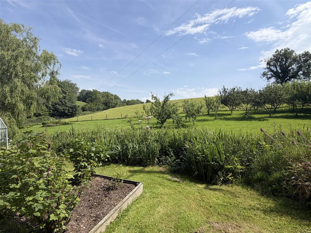 Willsland, Nr St. Veep, photo 5