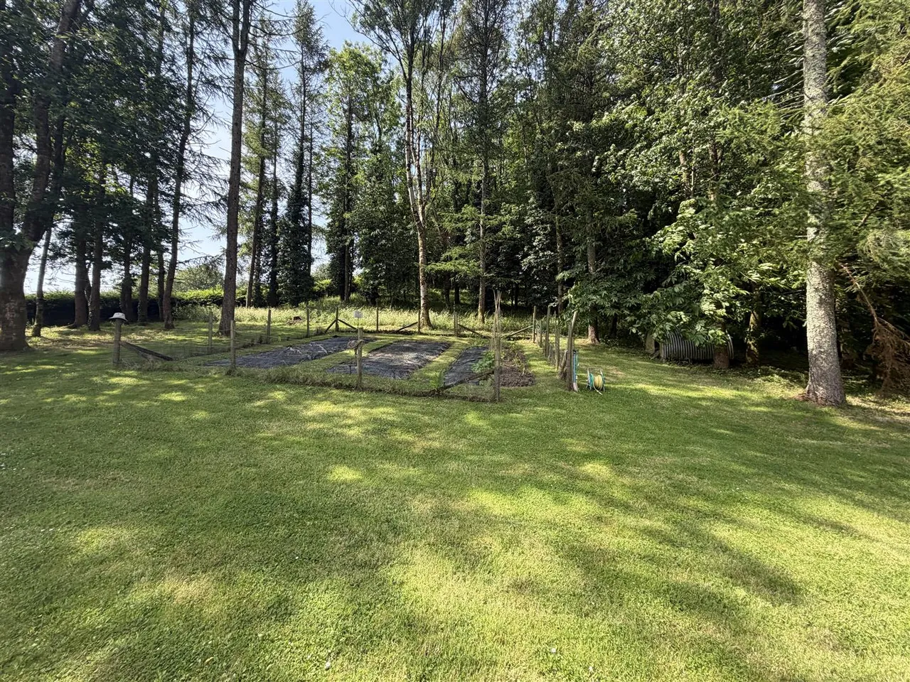 Willsland, Nr St. Veep, photo 23