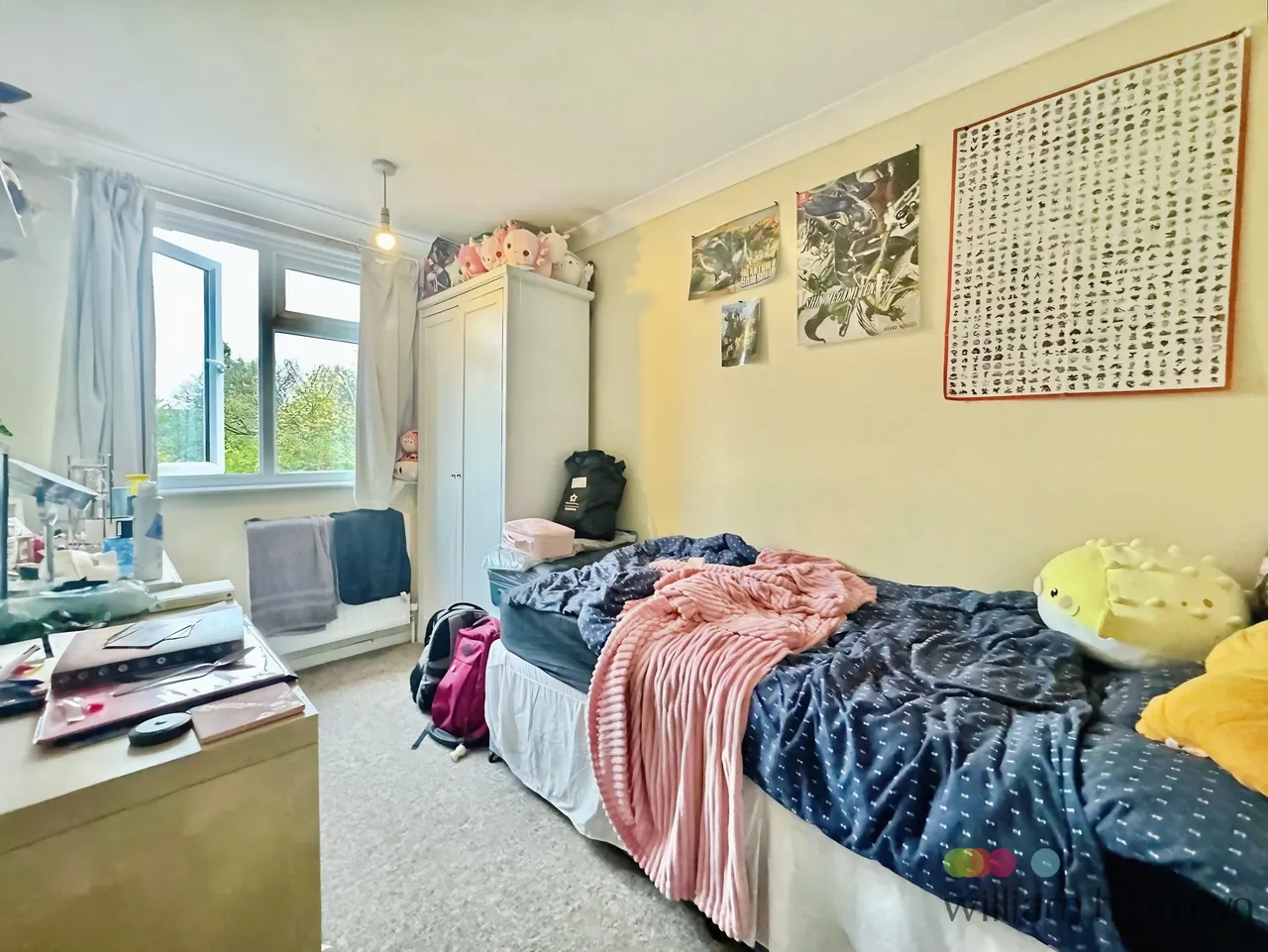 Larkman Lane, Norwich, NR5, photo 9