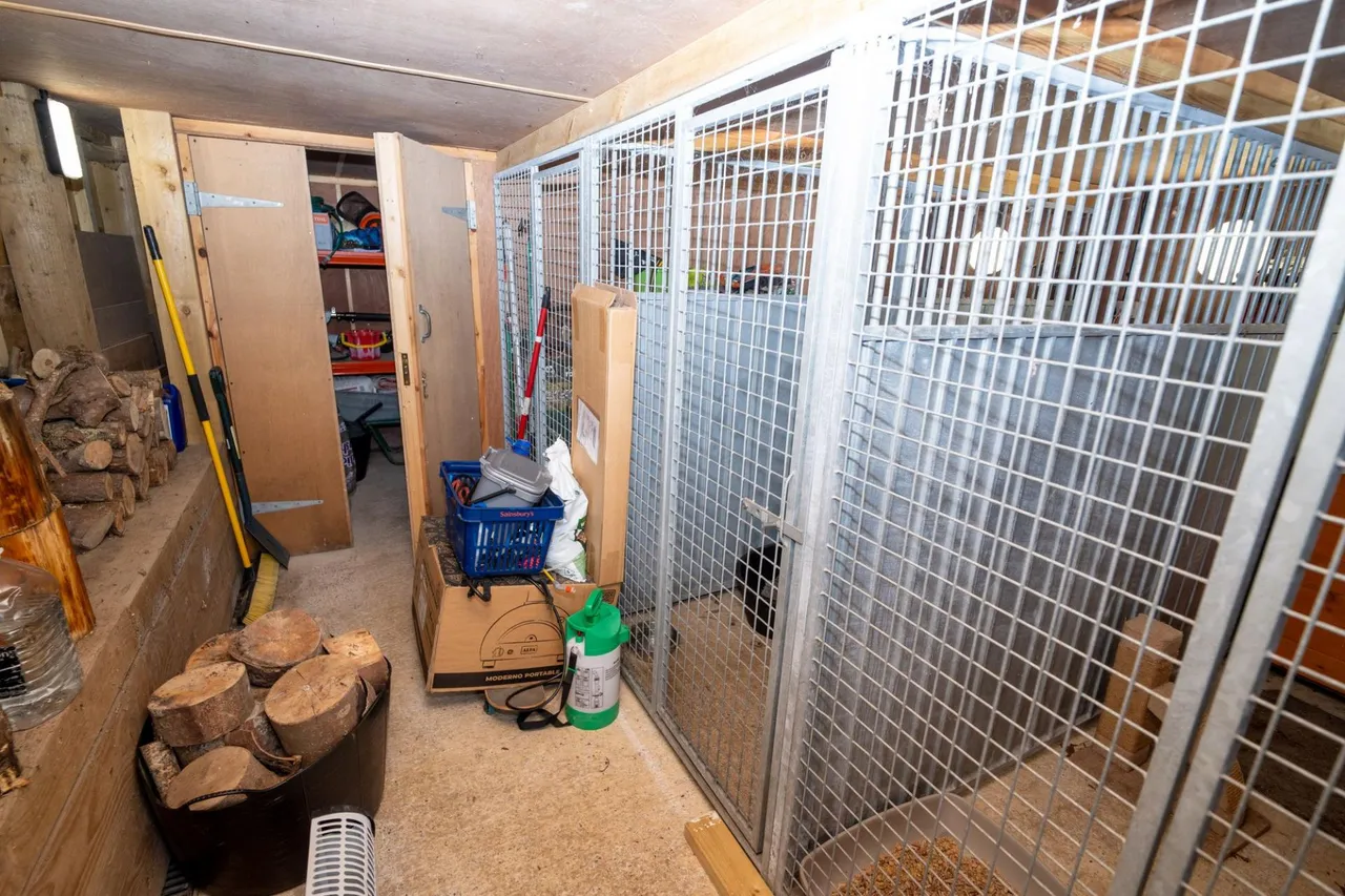 Aberdovey, LL35, photo 39
