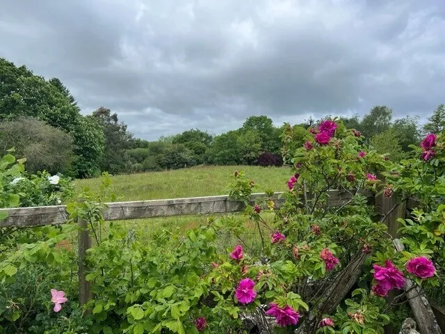 Hale, Fordingbridge, SP6, photo 17