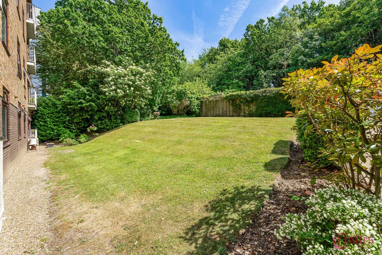 Avenue Road, N6, photo 8