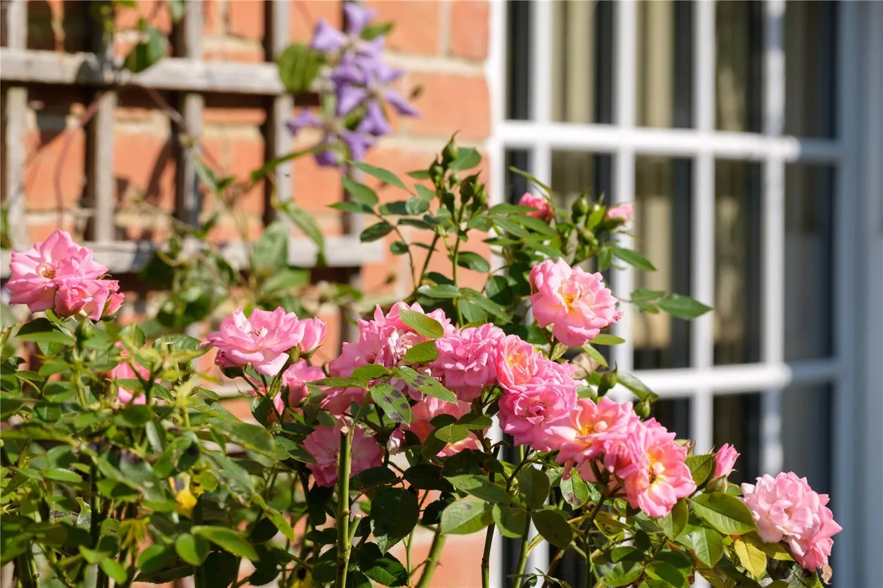 Howarth Close, Burton Bradstock, DT6, photo 32