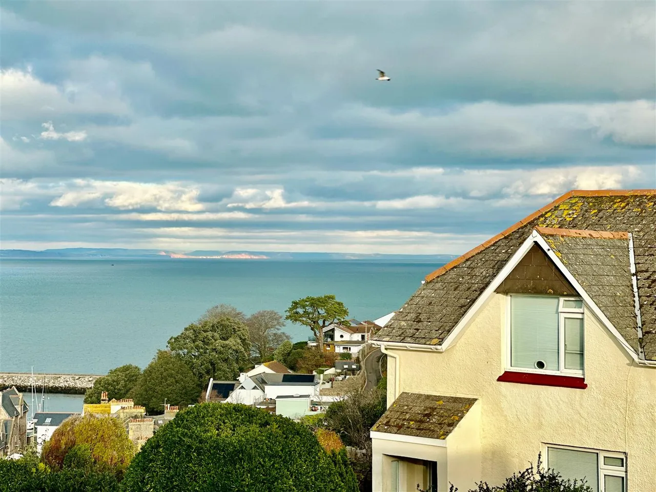 Garlic Rea, Brixham, photo 15