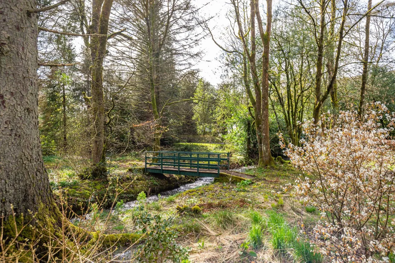 Burnfoot House, Westerkirk, DG13, photo 60