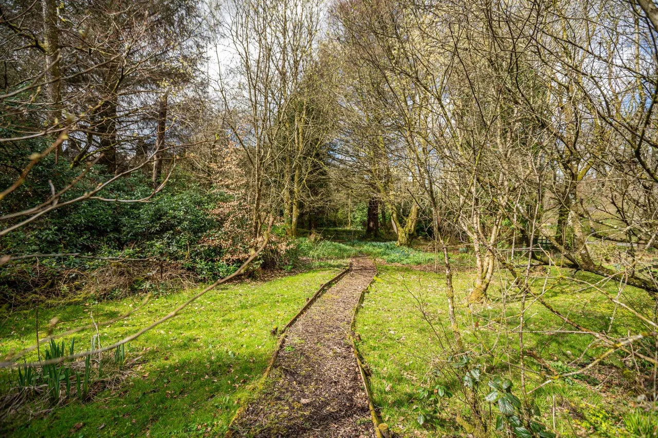 Burnfoot House, Westerkirk, DG13, photo 61