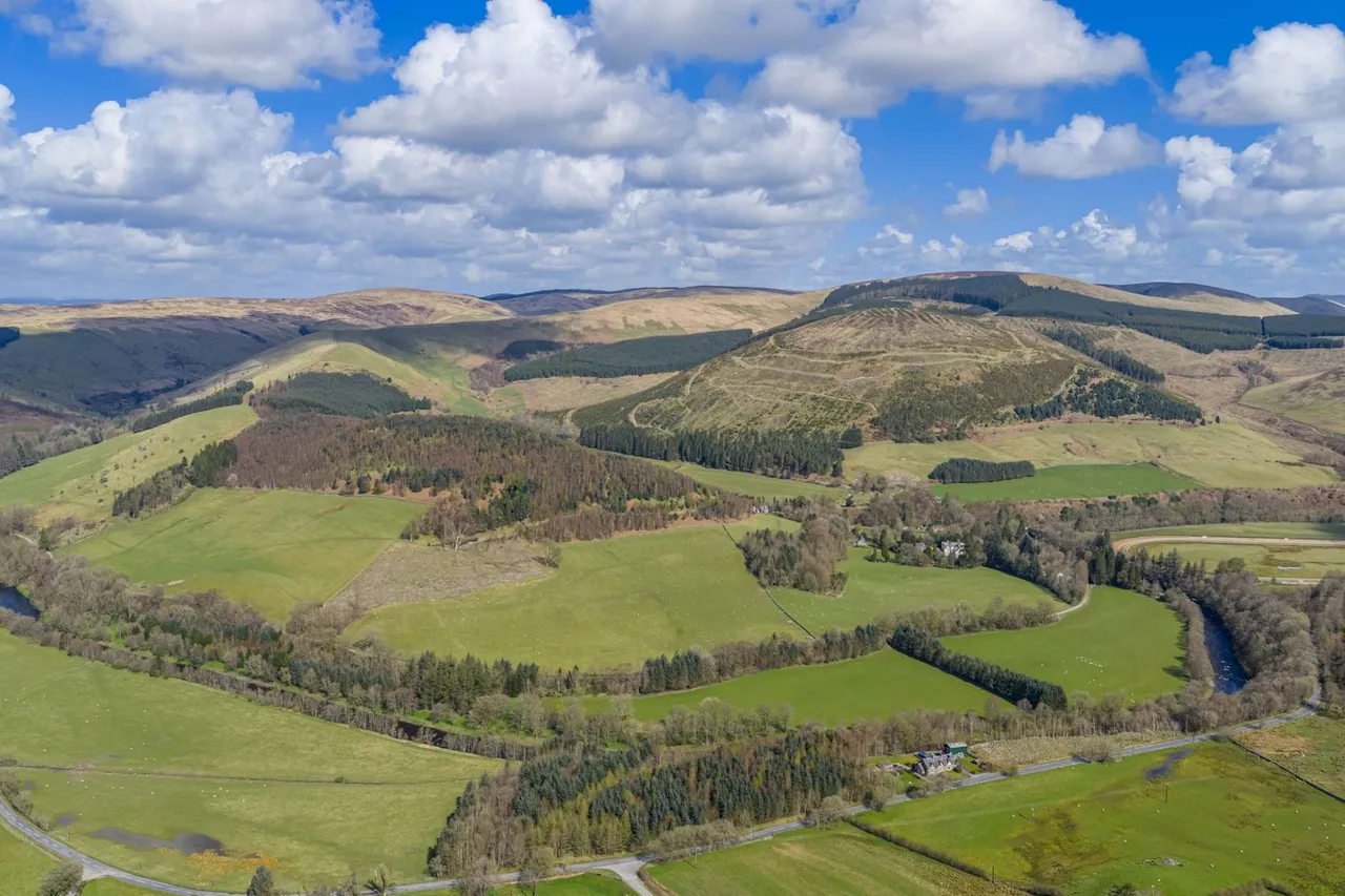 Burnfoot House, Westerkirk, DG13, photo 66