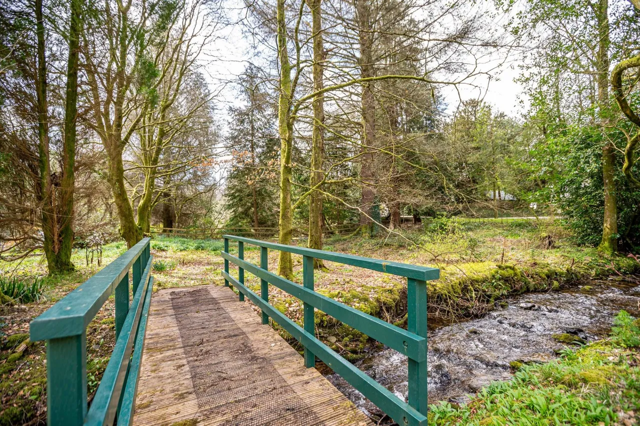 Burnfoot House, Westerkirk, DG13, photo 59