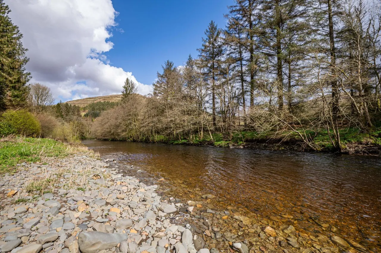 Burnfoot House, Westerkirk, DG13, photo 64