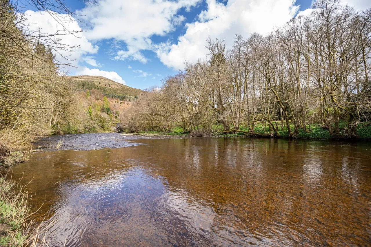 Burnfoot House, Westerkirk, DG13, photo 65