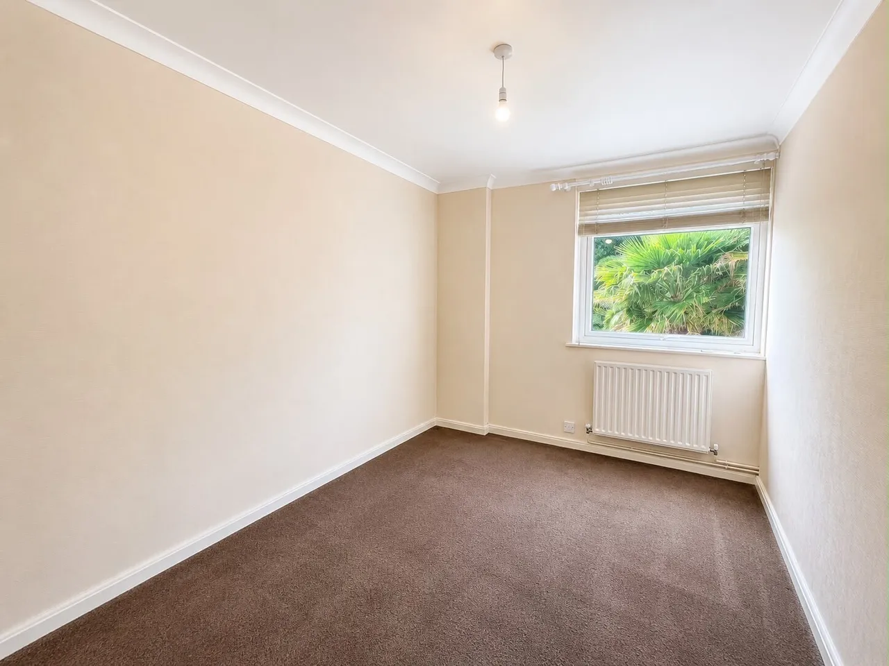 New Church Road, Hove, BN3, photo 6