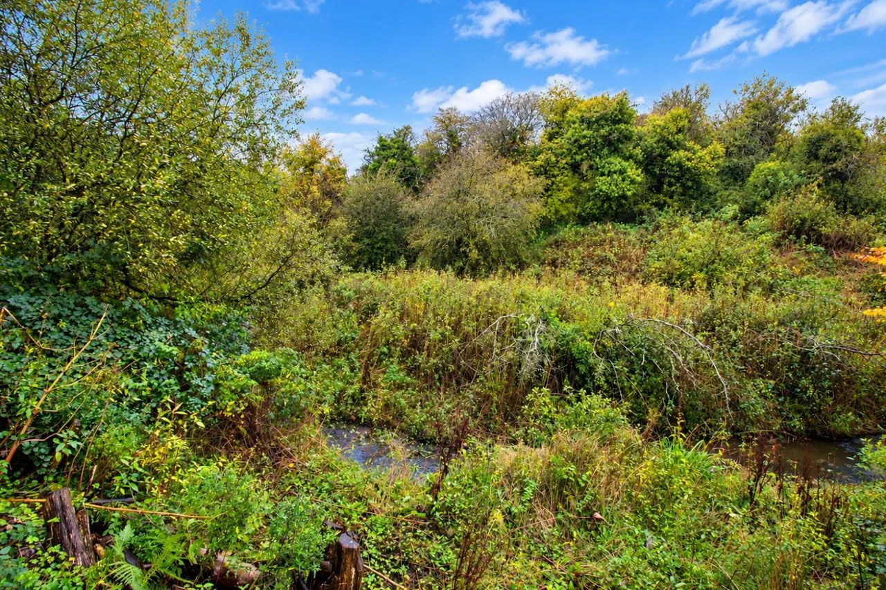Dominica Avenue, Lower Darwen, BB3, photo 15