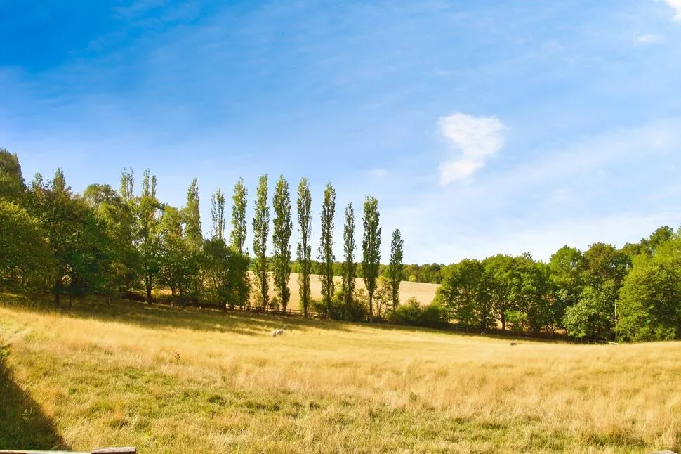 Upper Lane, Netherton, West Yorkshire, WF4, photo 12